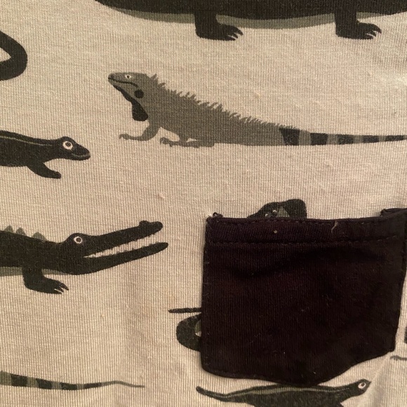 🐍🦎Kickee Bundle🦎🐍 - Picture 8 of 12